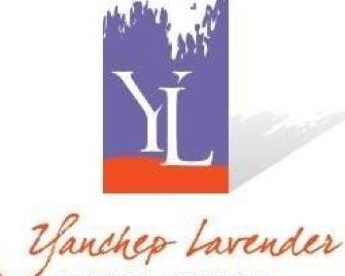 Yanchep Lavender Massage Oil - 125ml image